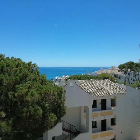 Acacias Torrenueva La Cala De Mijas